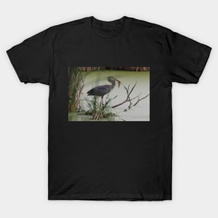 Another Catfish Hits The Dust T-Shirt